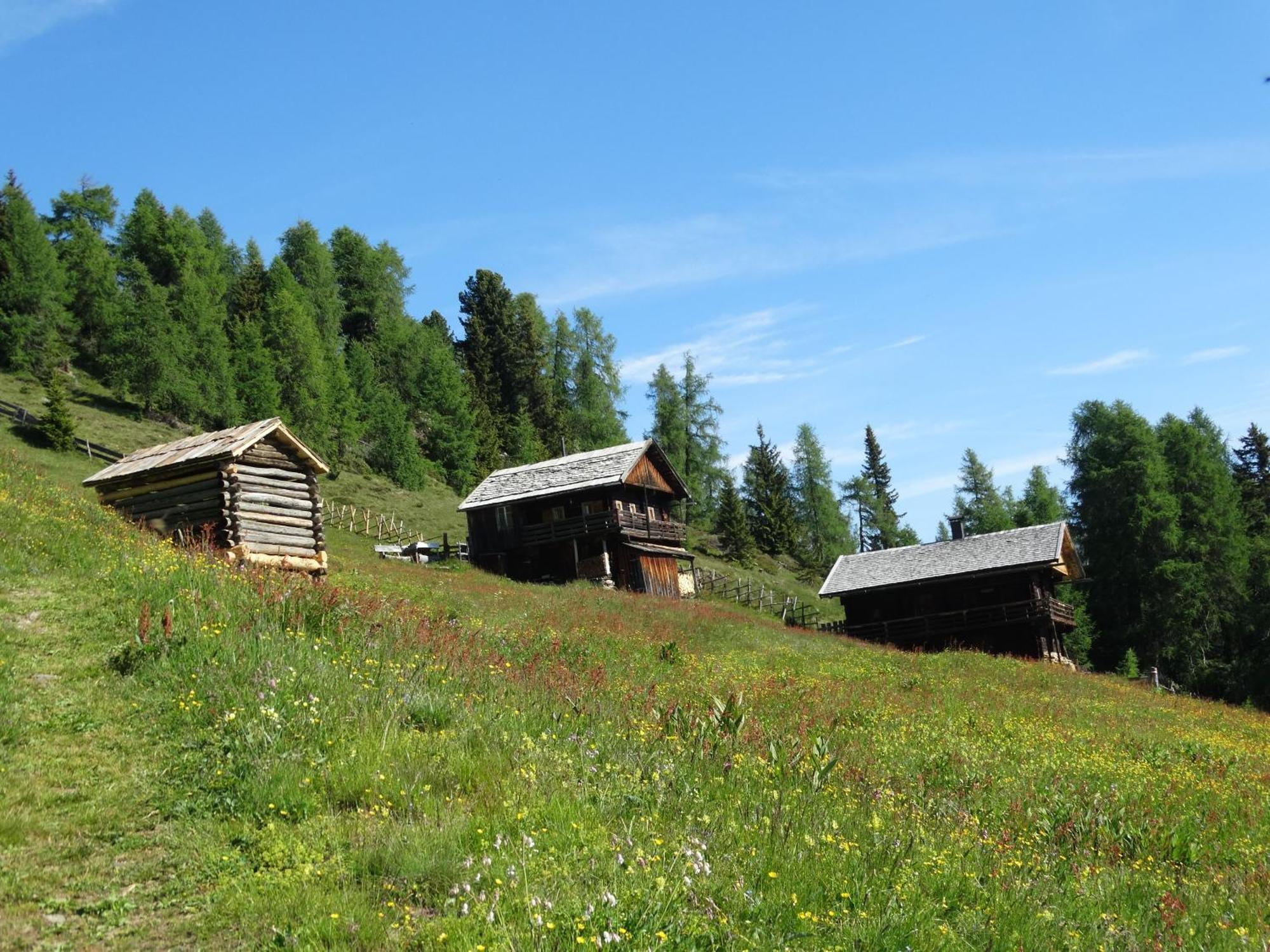 Ferienwohnung Bergmann Ausservillgraten Экстерьер фото
